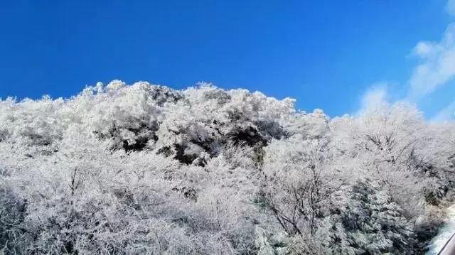 我喜欢老师，怎么办？！游戏画面